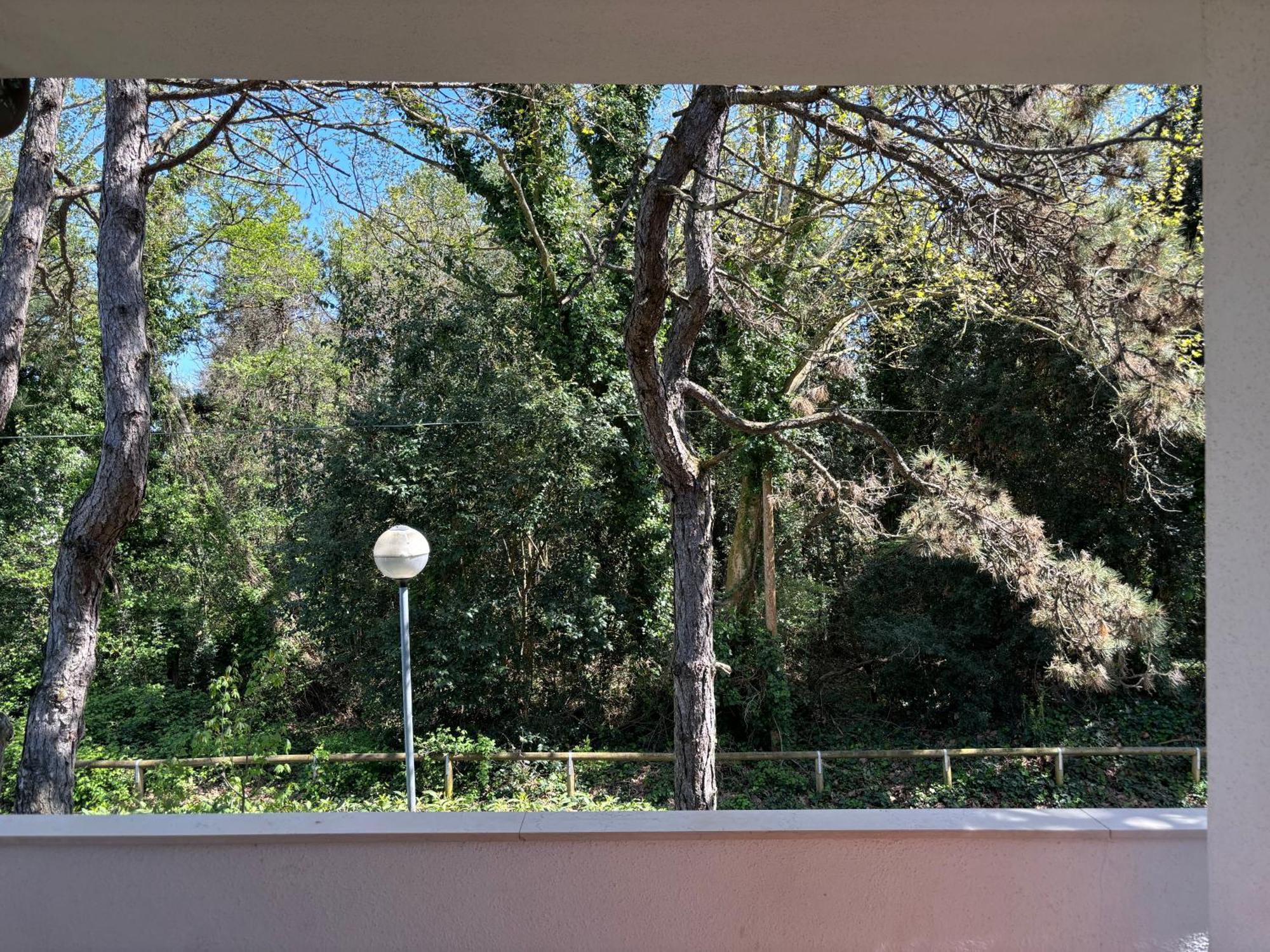 ביביונה Villa Giorgio 2 Mare E Pineta מראה חיצוני תמונה